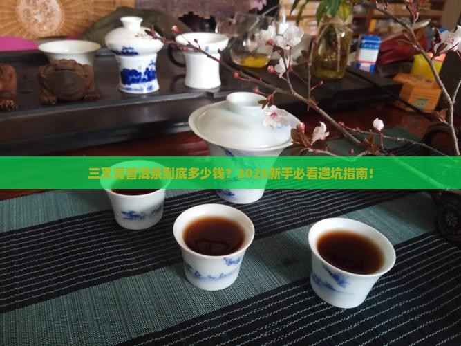 三叉箐普洱茶多少钱