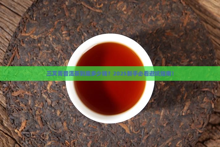 三叉箐普洱茶多少钱