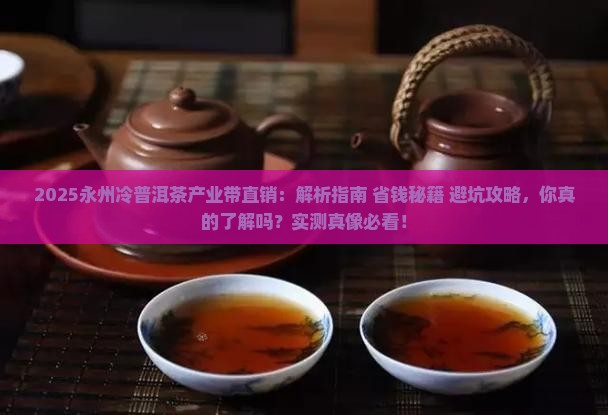 永州冷普洱茶产业带直销
