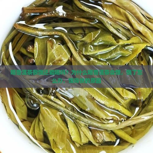 喝普洱茶很饿还能喝吗