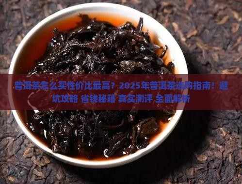 普洱茶怎么买性价比最高