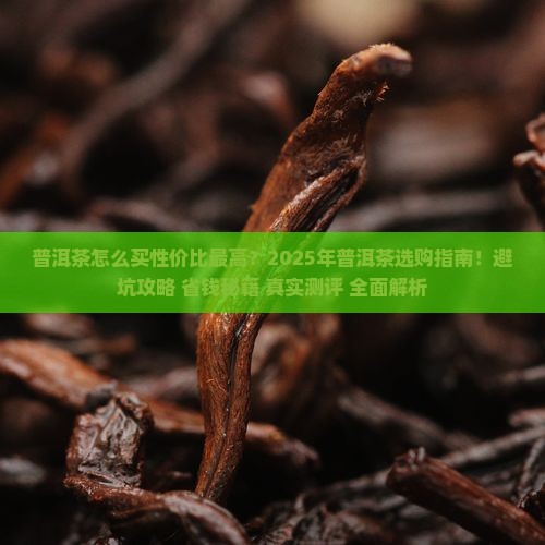 普洱茶怎么买性价比最高