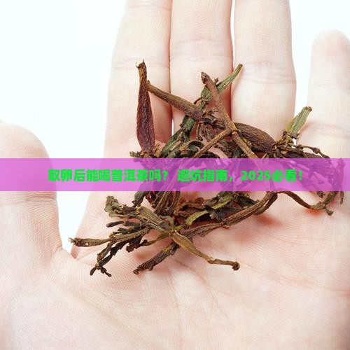 取卵后可以喝普洱茶么 取卵后可以喝普洱茶么