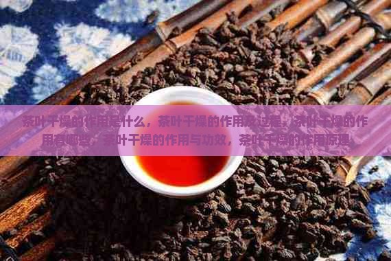 茶叶干燥的作用