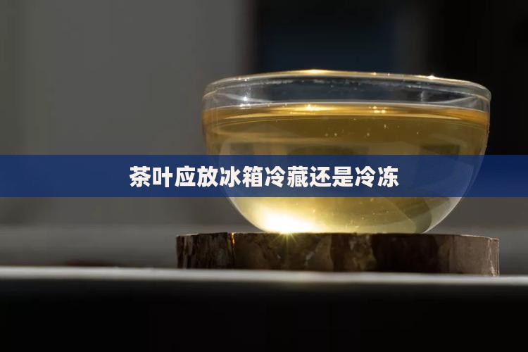 茶叶应放冷冻还是冷藏
