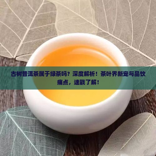 古树普洱茶属于绿茶吗