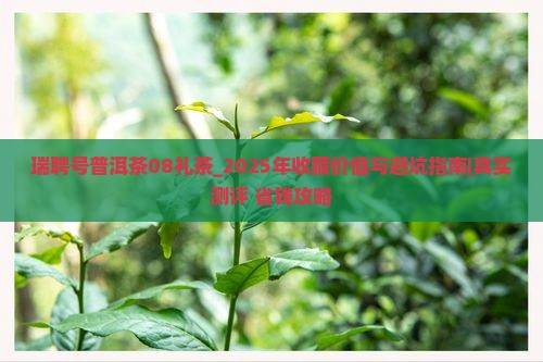 瑞聘号普洱茶08礼茶