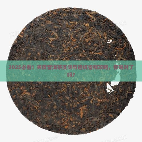 黄皮普洱茶推荐