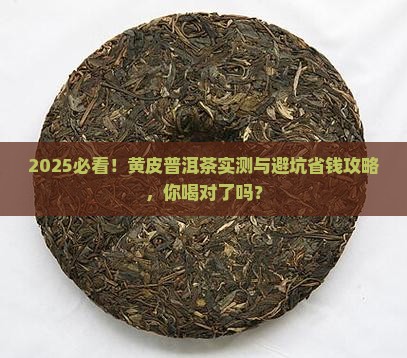 黄皮普洱茶推荐