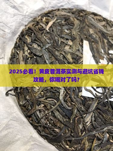黄皮普洱茶推荐