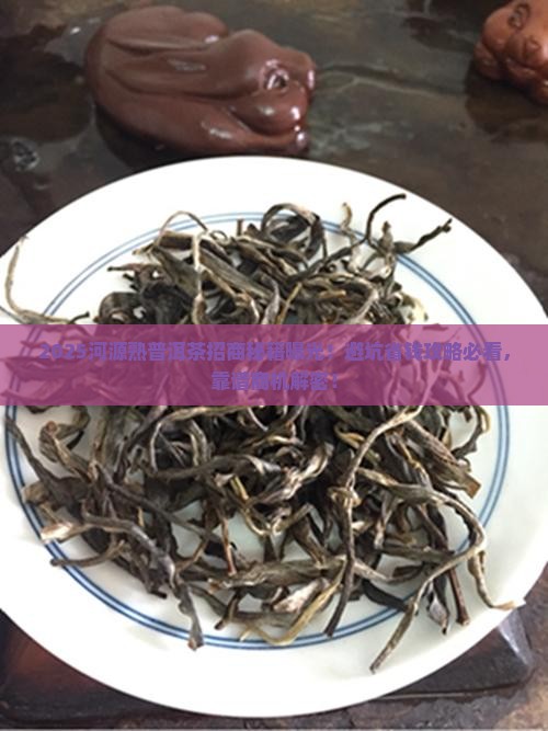 河源靠谱熟普洱茶招商