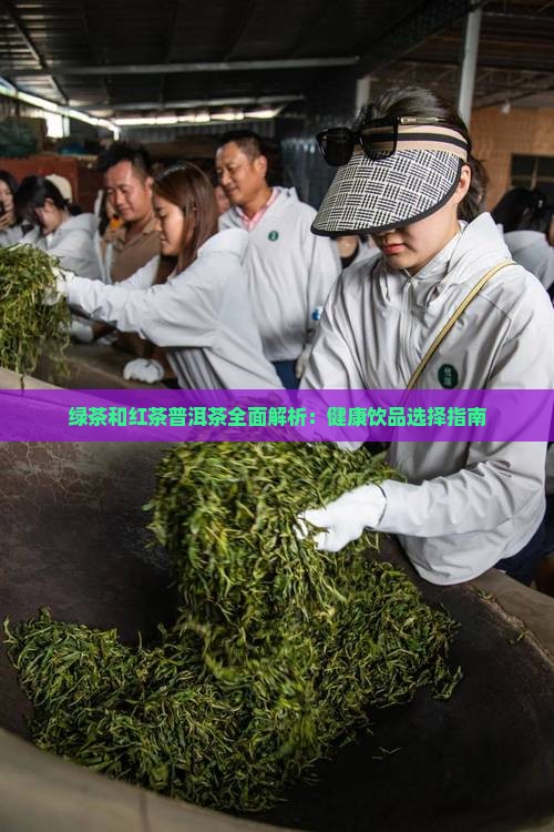 绿茶和红茶普洱茶