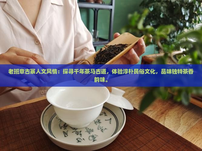 老班章古寨人文风情