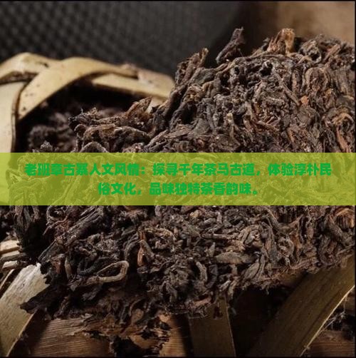 老班章古寨人文风情