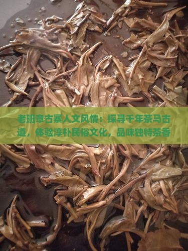 老班章古寨人文风情