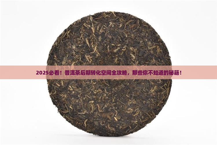 缅甸普洱茶后期转化空间 缅甸普洱茶后期转化空间