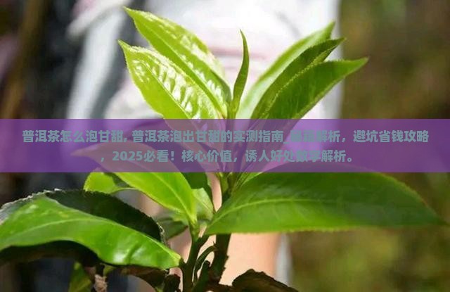 普洱茶怎么泡甘甜