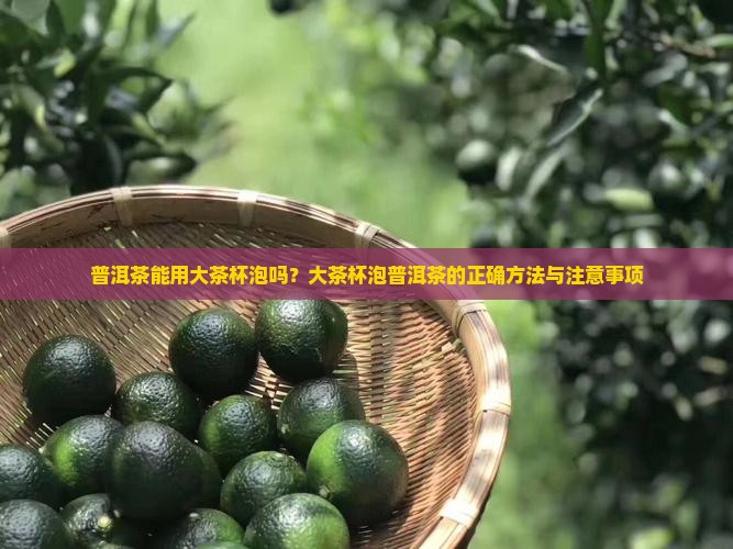 普洱茶能用大茶杯泡吗