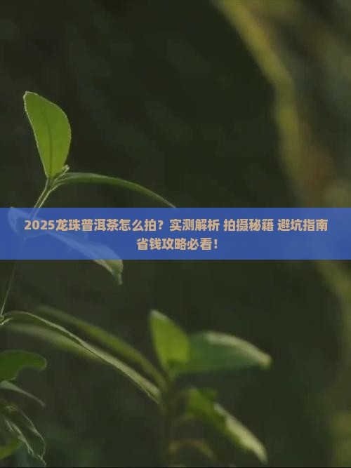 龙珠普洱茶怎么拍