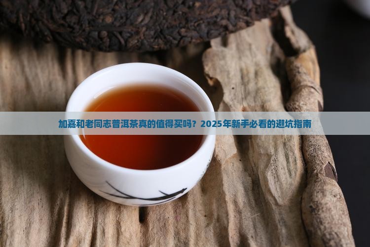 加嘉和老同志普洱茶
