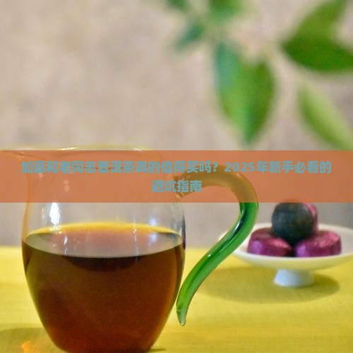 加嘉和老同志普洱茶