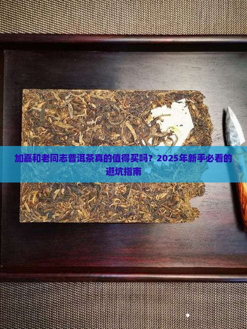 加嘉和老同志普洱茶