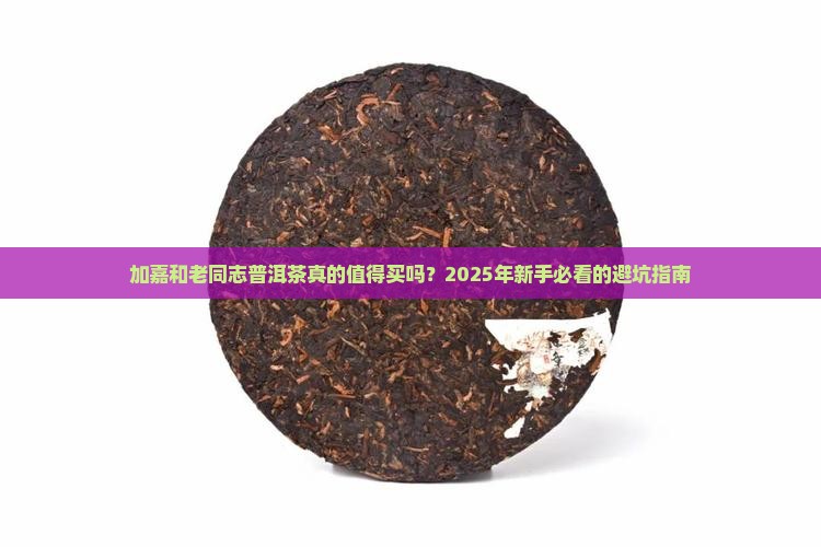 加嘉和老同志普洱茶