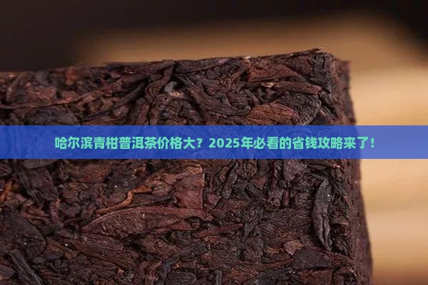 哈尔滨青柑普洱茶价格是多少