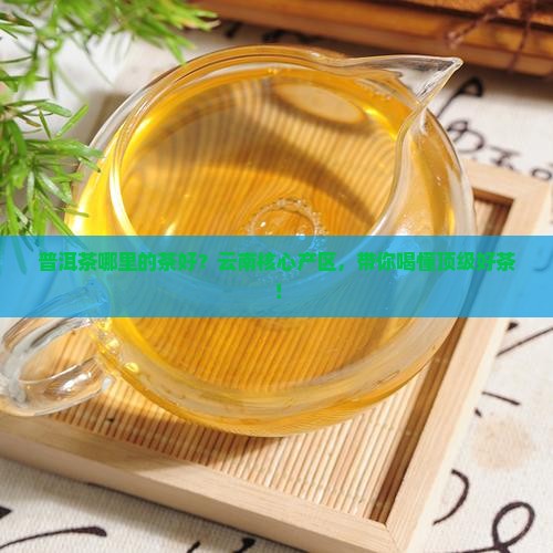 普洱茶哪里的茶好