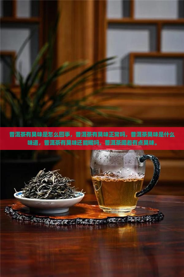 普洱茶有臭味是怎么回事