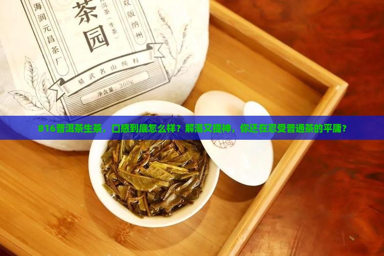 816普洱茶生茶