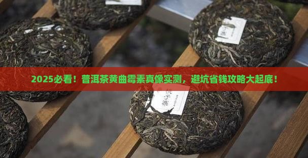 各种普洱茶黄曲霉素