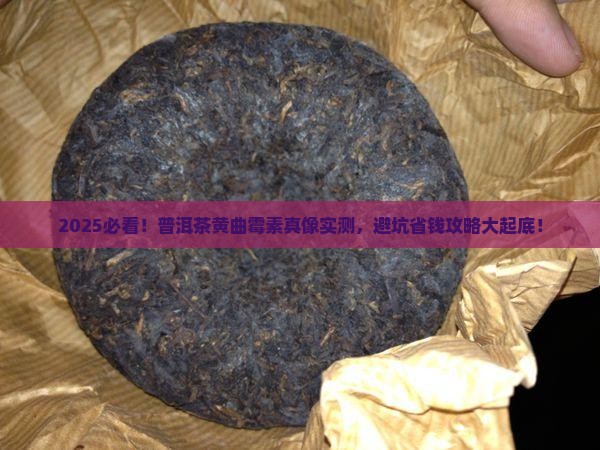 各种普洱茶黄曲霉素