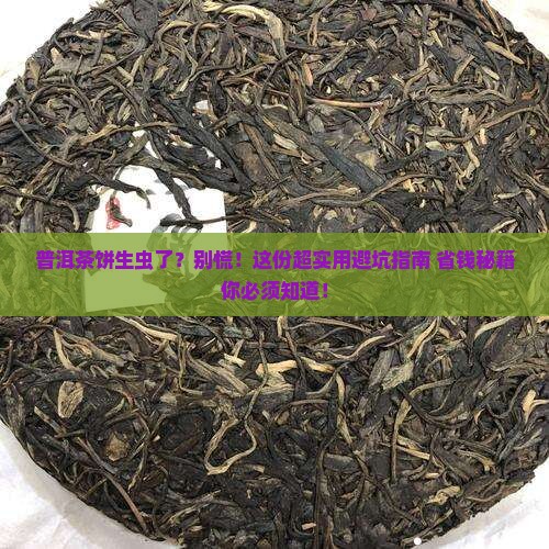 普洱茶饼生虫了怎么处理