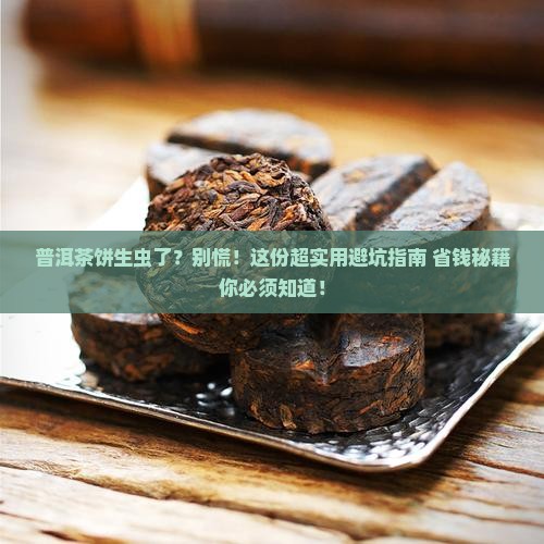 普洱茶饼生虫了怎么处理