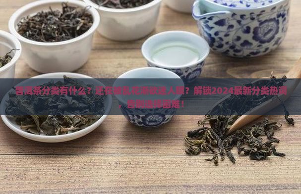 普洱茶分类有什么
