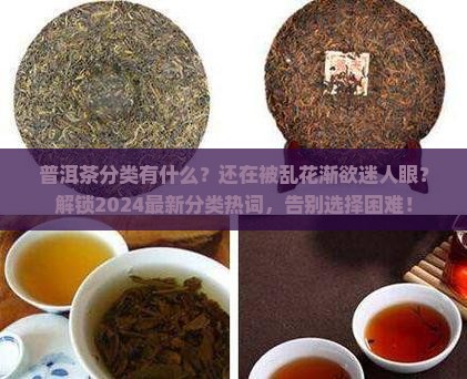 普洱茶分类有什么