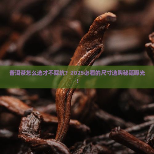 普洱茶尺寸信息