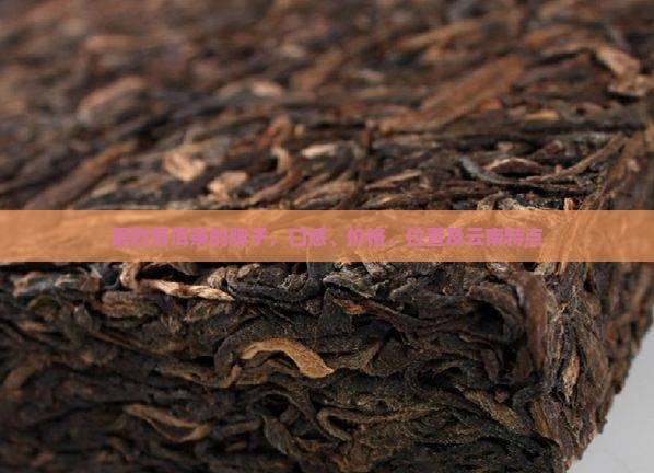 磨烈普洱茶的牌子