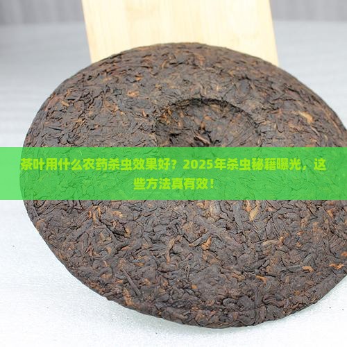 茶叶用什么农药杀虫效果好