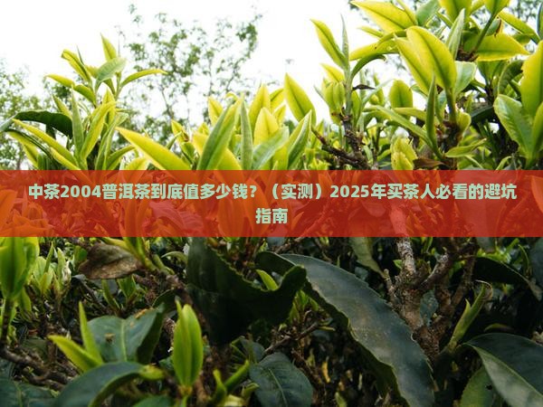 中茶2004普洱茶价格