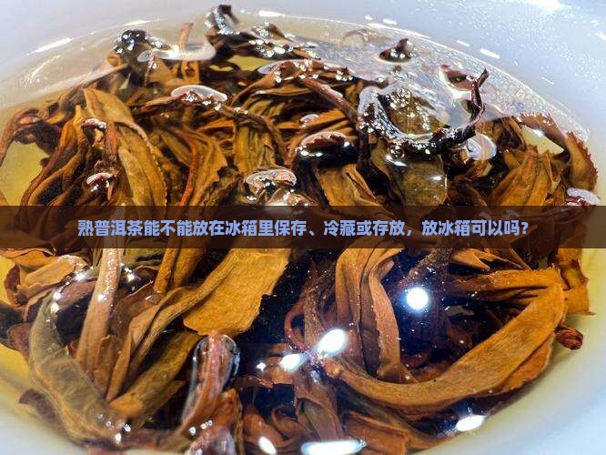 熟普洱茶能不能放在冰箱里