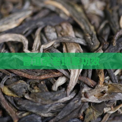 普洱茶老班章功效