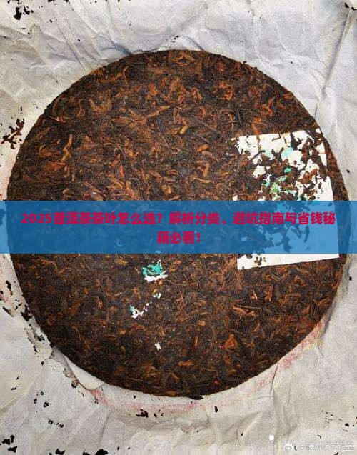 普洱茶分哪几种品牌茶叶