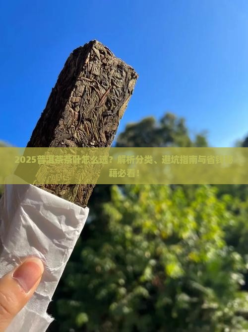 普洱茶分哪几种品牌茶叶