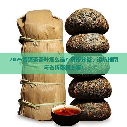 普洱茶分哪几种品牌茶叶