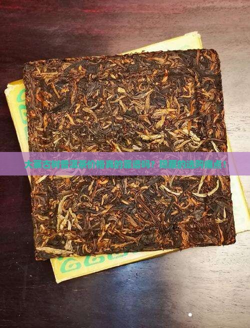 大寨古树普洱茶价格