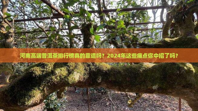 河南高端普洱茶品牌排行榜