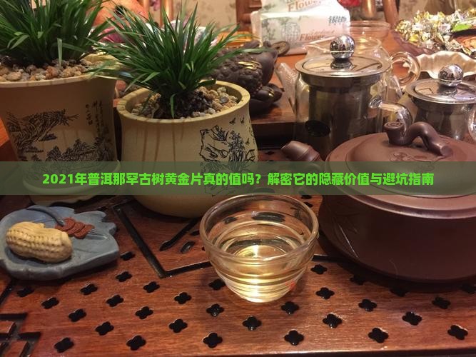 2021年普洱那罕古树黄金片