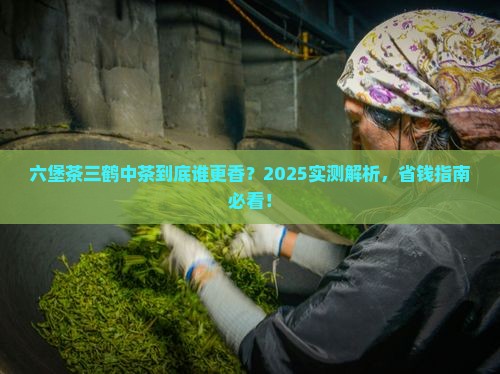 六堡茶三鹤中茶哪个好